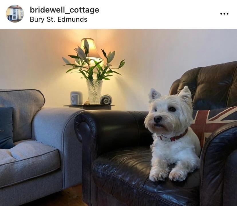 No. 10 Bridewell Cottage Bury St. Edmunds Esterno foto
