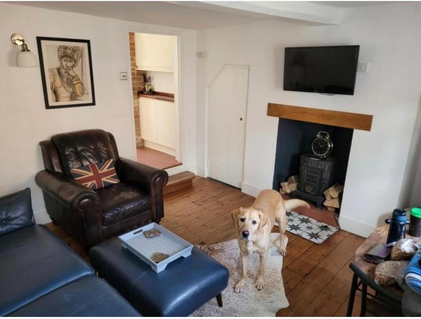 No. 10 Bridewell Cottage Bury St. Edmunds Esterno foto